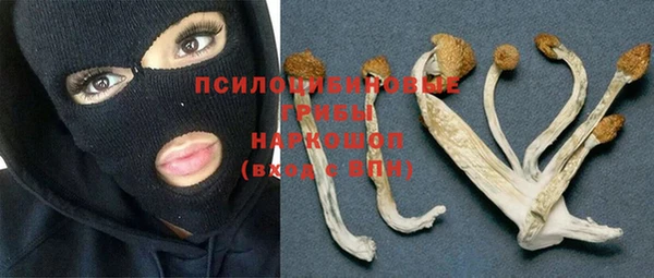 ПСИЛОЦИБИНОВЫЕ ГРИБЫ Алексин