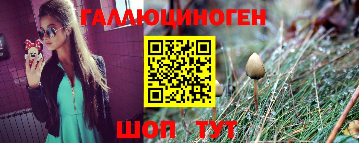 Галлюциногенные грибы мицелий  Вход с VPN  Санкт-Петербург  Галлюциногенные грибы GOLDEN TEACHER 