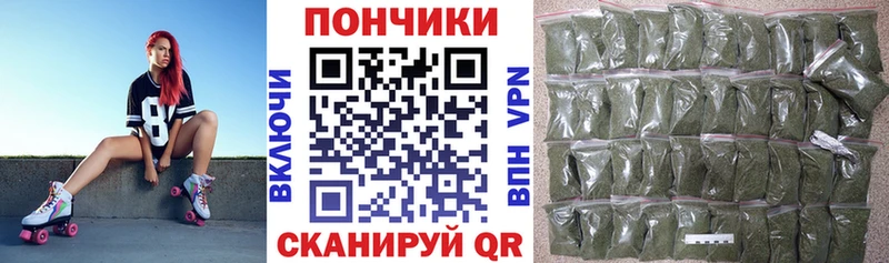 наркота  Санкт-Петербург  Конопля план 
